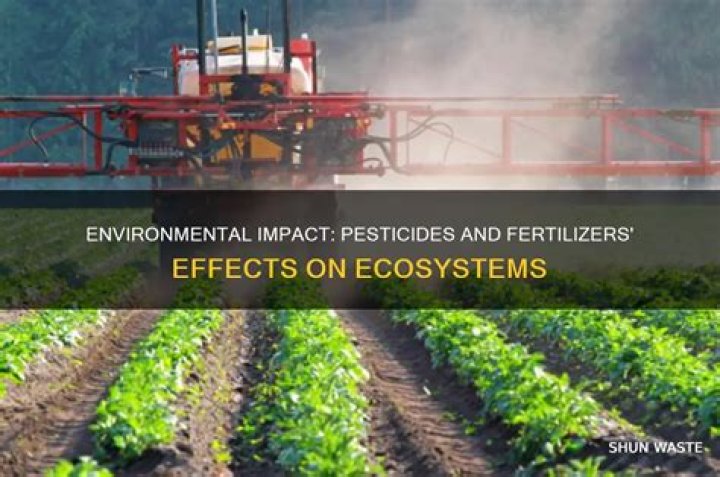 How do pesticides and fertilizers affect the environment
