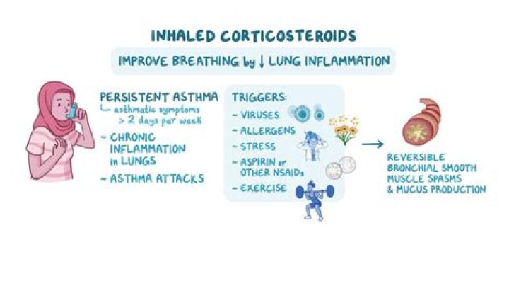 How do steroids work in asthma