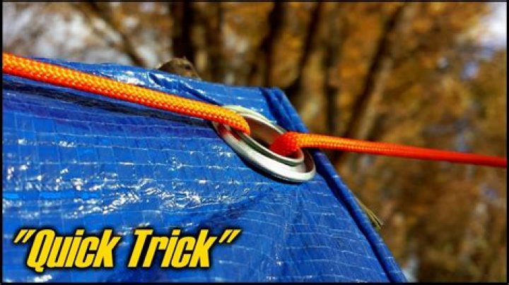 How do tarp bungees work