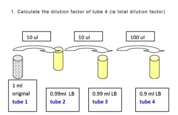 How do you calculate tube dilution