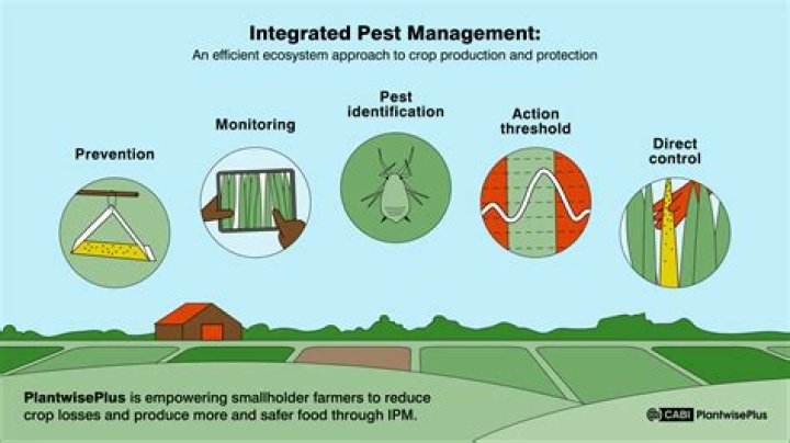 How do you check for pests