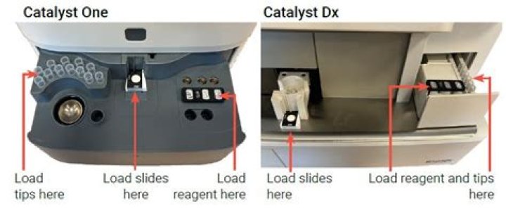 How do you clean a catalyst DX