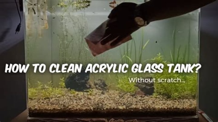 How do you clean a plexiglass fish tank