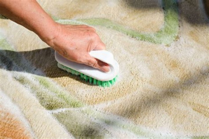 How do you clean carpet with powder