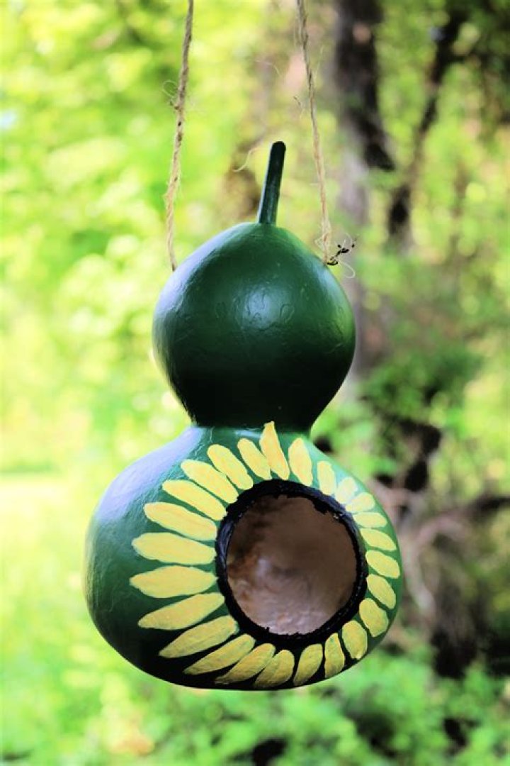 How do you cut birdhouse gourds
