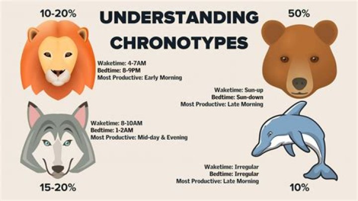 How do you find your Chronotype