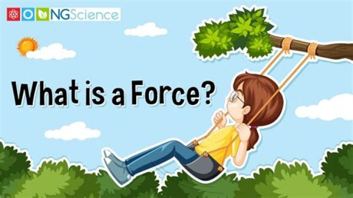 How do you force a narcissus bulb