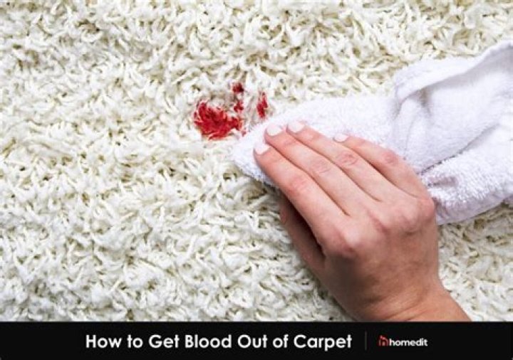 How do you get dried blood out of carpet