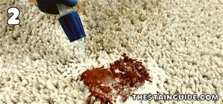 How do you get feces stains out of carpet