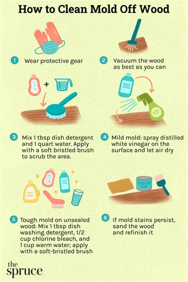 How do you get mold off of cedar siding