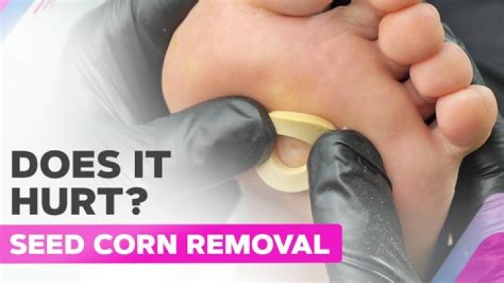 How do you get rid of corn borer organically