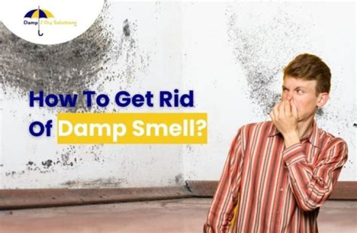 How do you get rid of damp cellar smell