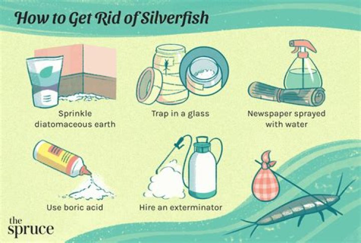 How do you get rid of GREY water smell