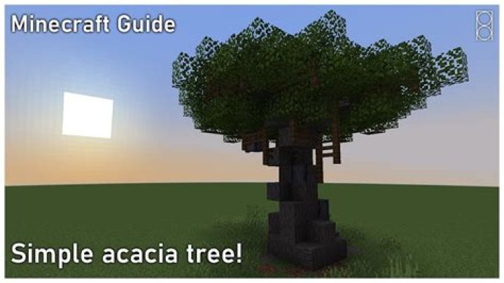 How do you grow acacia trees in Minecraft
