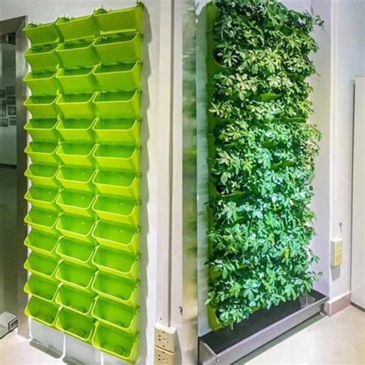How do you hang a succulent wall