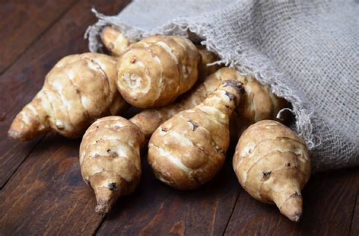 How do you harvest and store Jerusalem artichokes