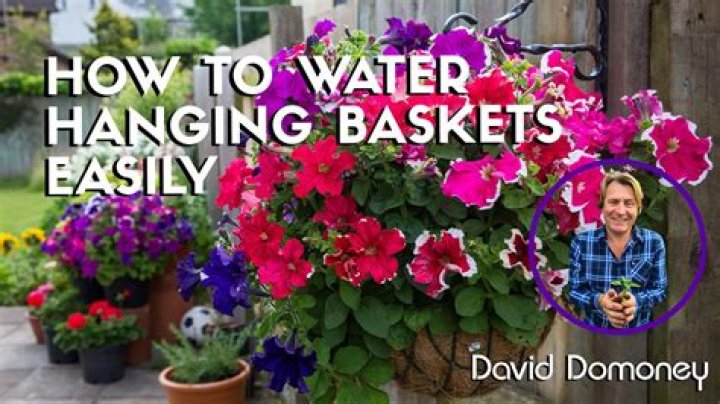 How do you keep hanging baskets watered when away