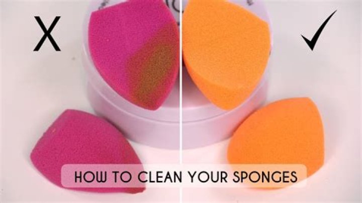 How do you keep sponges clean