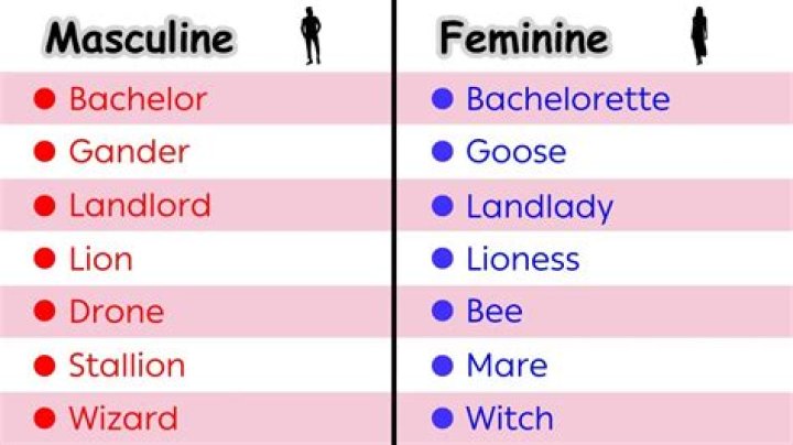 How do you know if a word is masculine or feminine in Russian