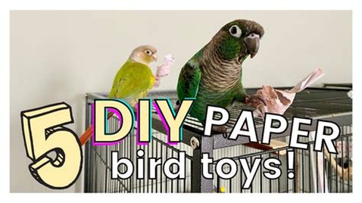 How do you make a bird toy safe