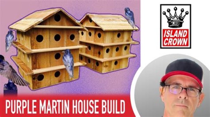 How do you make a purple martin house
