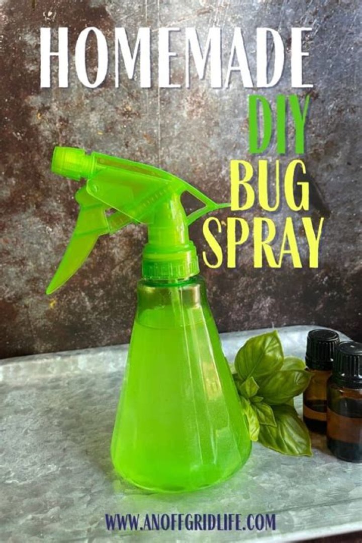 How do you make bug spray with lavender oil