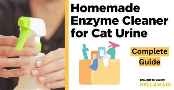 How do you make enzymatic cleaner for cat urine