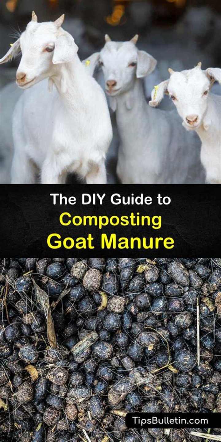 How do you make goat manure compost