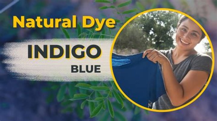 How do you make indigo dye from plants
