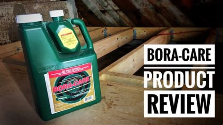 How do you mix Bora care with mold