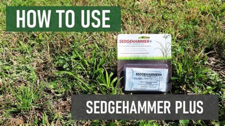 How do you mix Sedgehammer