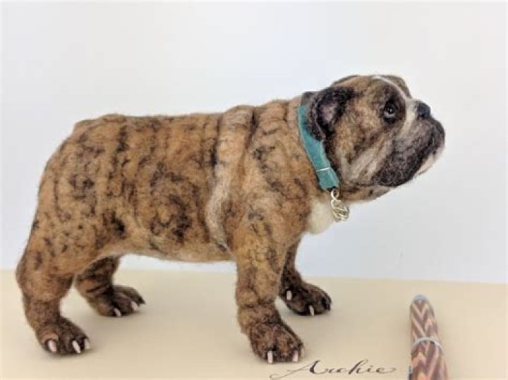 How do you needle felt realistic animals