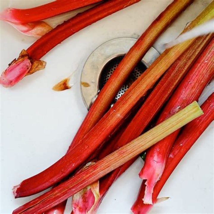 How do you prepare rhubarb for freezing