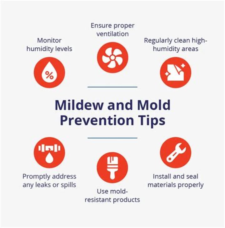 How do you prevent mold and mildew in a basement