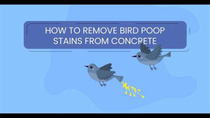How do you remove dried bird poop