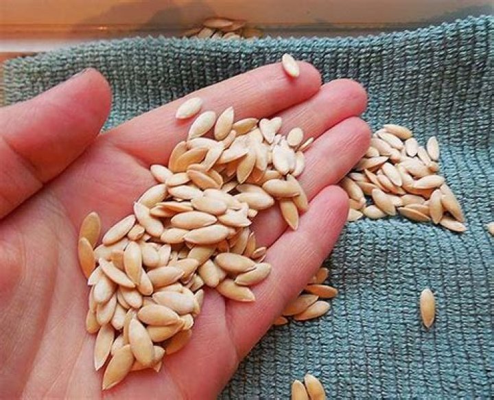 How do you use Kharbuja seeds