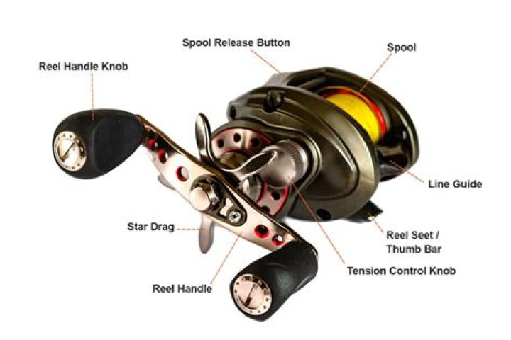 How does a baitcaster reel work