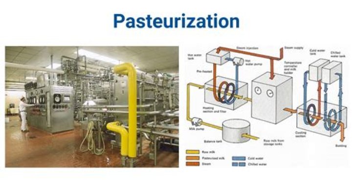 How does a flash pasteurizer work