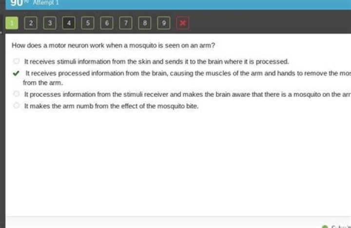How does a motor neuron work when a mosquito is seen on an ARM