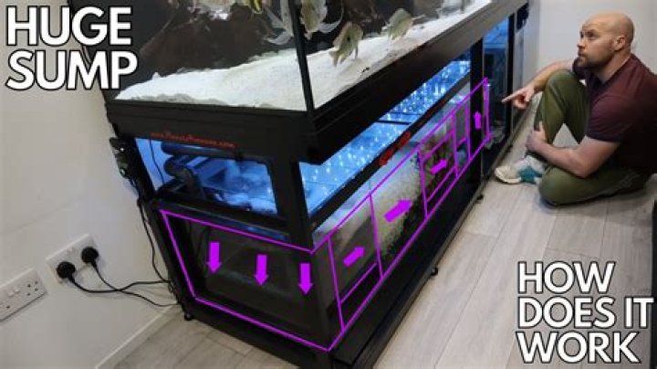 How does a sump work in a marine tank
