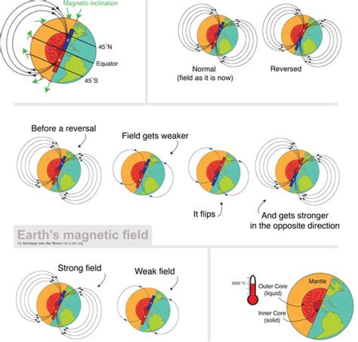 How does animal magnetism work