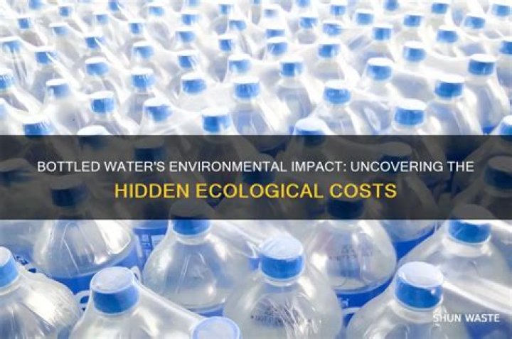 How does bottled water harm the environment