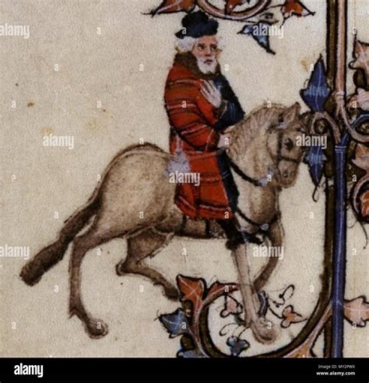 How does Chaucer feel about Franklin