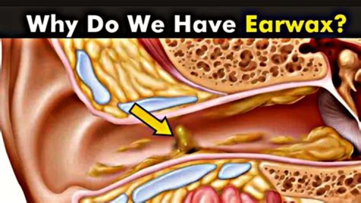 How does ear wax work