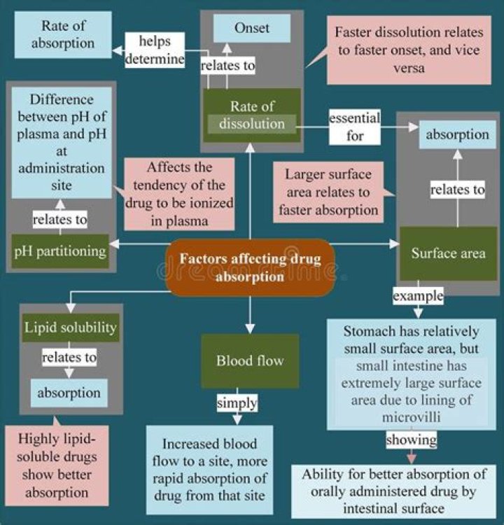 How does lipid solubility affect drug absorption