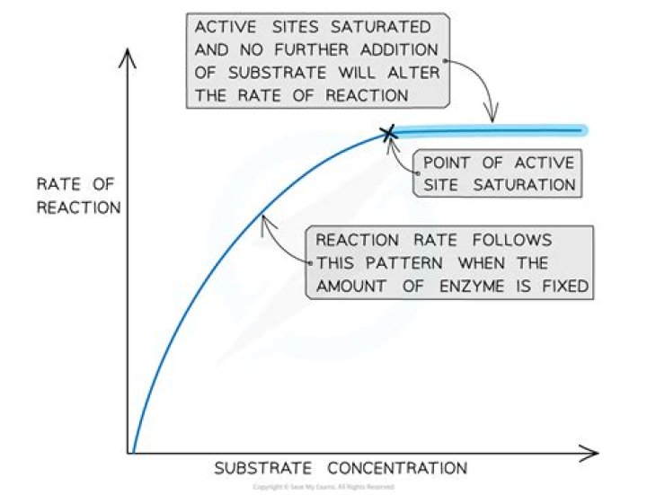 How does substrate concentration affect catalase activity