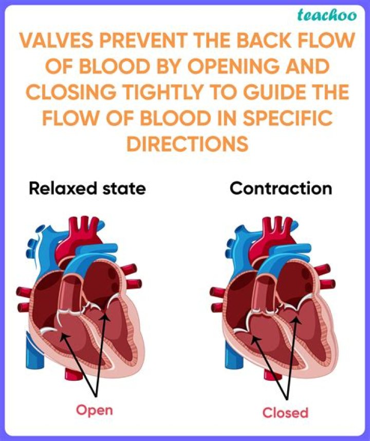 How does the heart prevent backflow