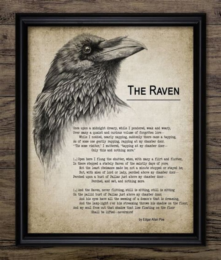 How does the raven affect the speaker