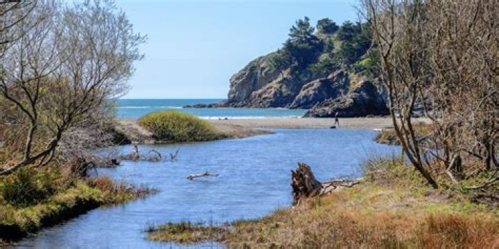 How far is Muir Beach from San Francisco
