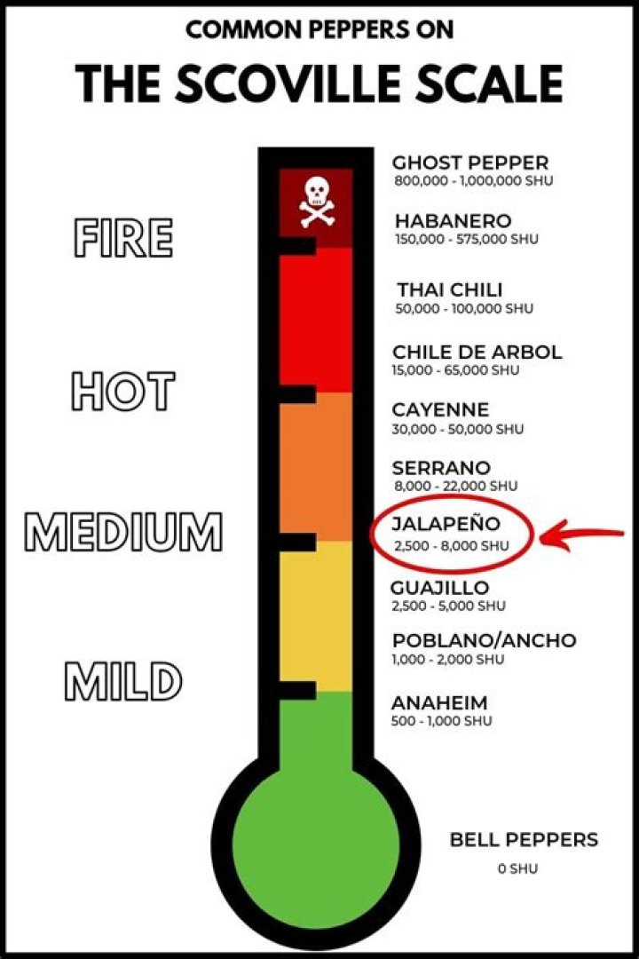 How hot is a jalapeno on the Scoville scale